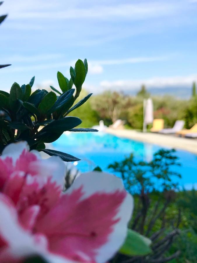 Le Mas De La Source Acomodação com café da manhã Mougins Exterior foto