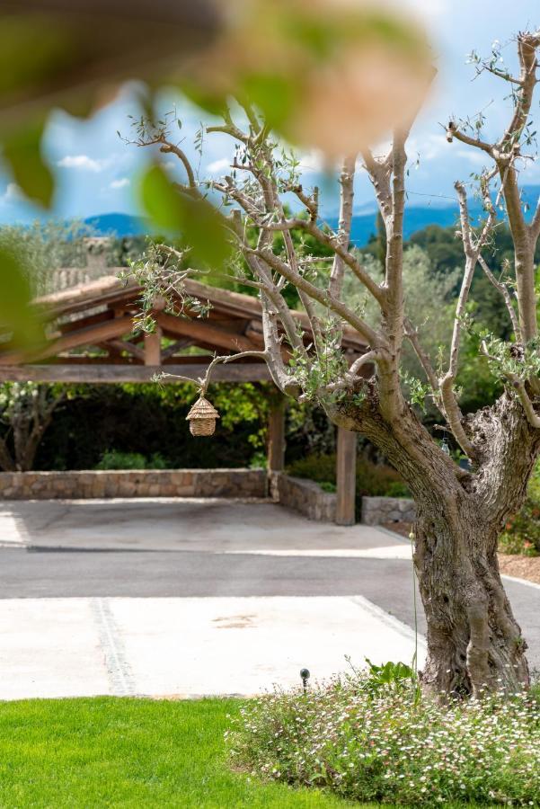 Le Mas De La Source Acomodação com café da manhã Mougins Exterior foto