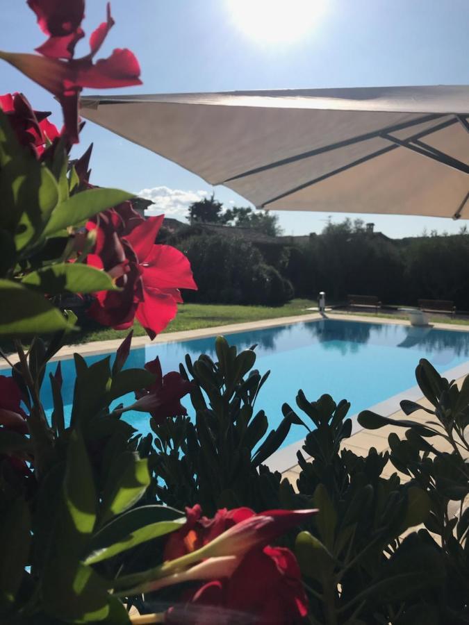 Le Mas De La Source Acomodação com café da manhã Mougins Exterior foto